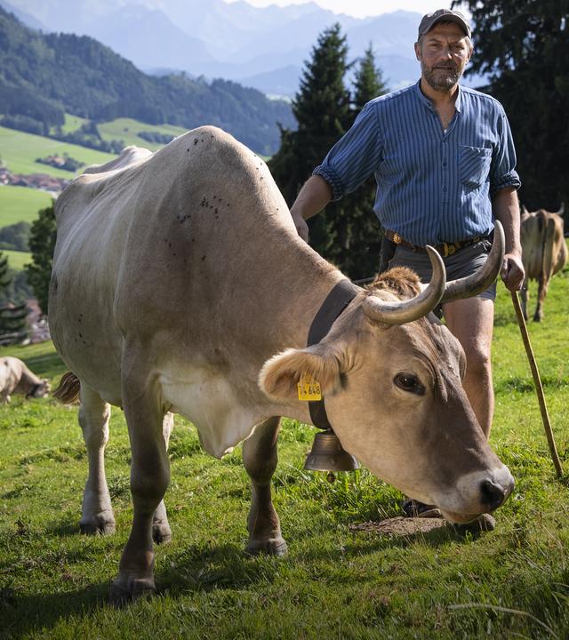 Andreas Dengel mit Kuh im Mai 2025 auf seiner „Alpe“. 
