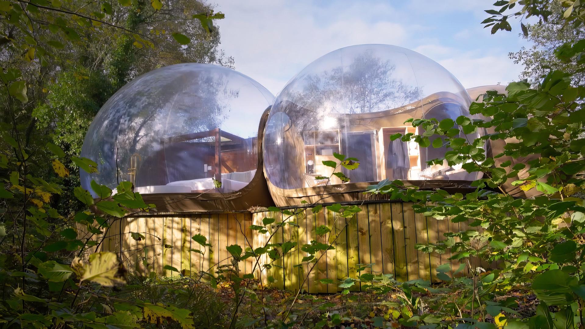 Zwei Unterkünfte, die aus transparenten Kuppeln bestehen, stehen auf Holzplattformen umgeben von Bäumen und grünem Laub.