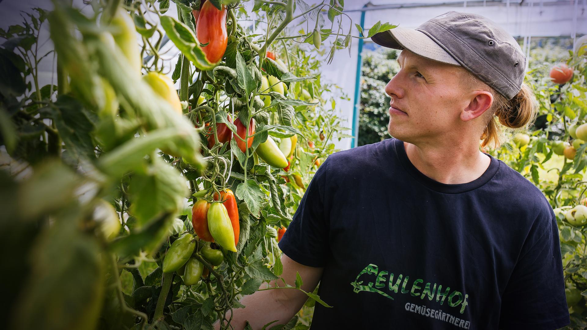 Matthias Kuhn in einem Gewächshaus.
