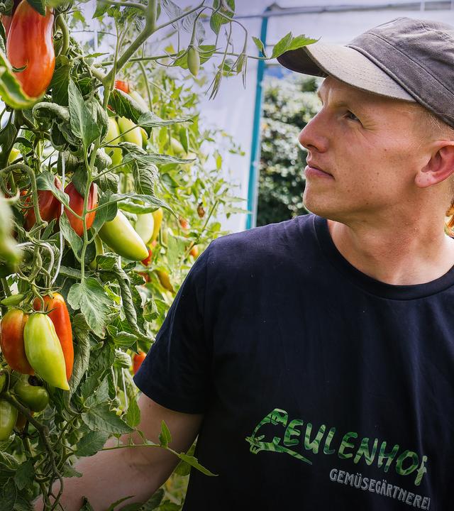Matthias Kuhn in einem Gewächshaus.