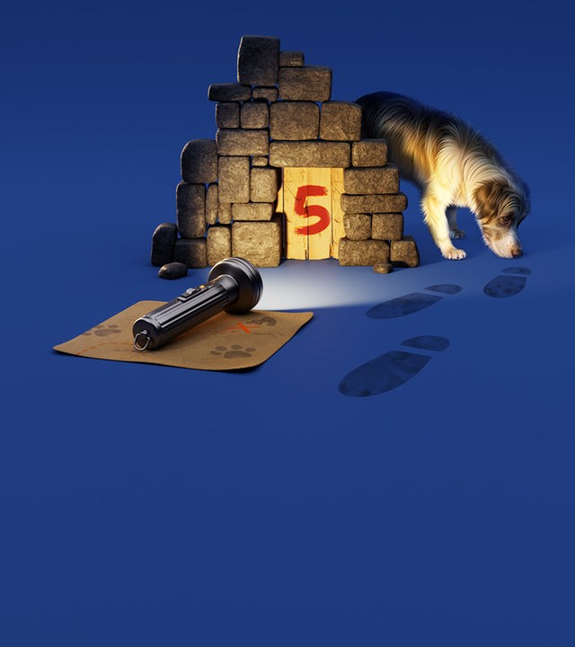 Fünf Freunde Classics