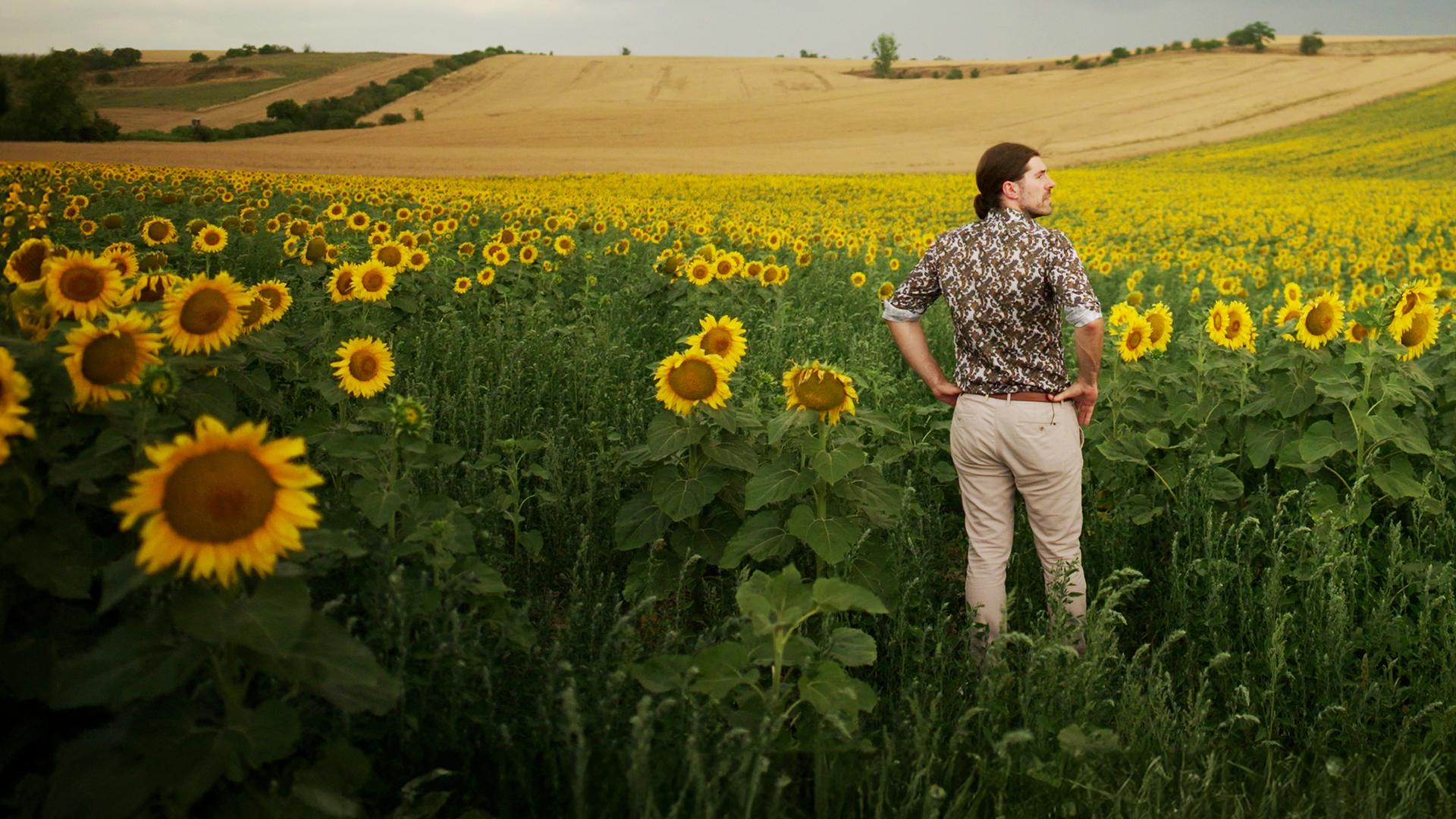  Alexander Prinz steht in einem Sonnenblumenfeld