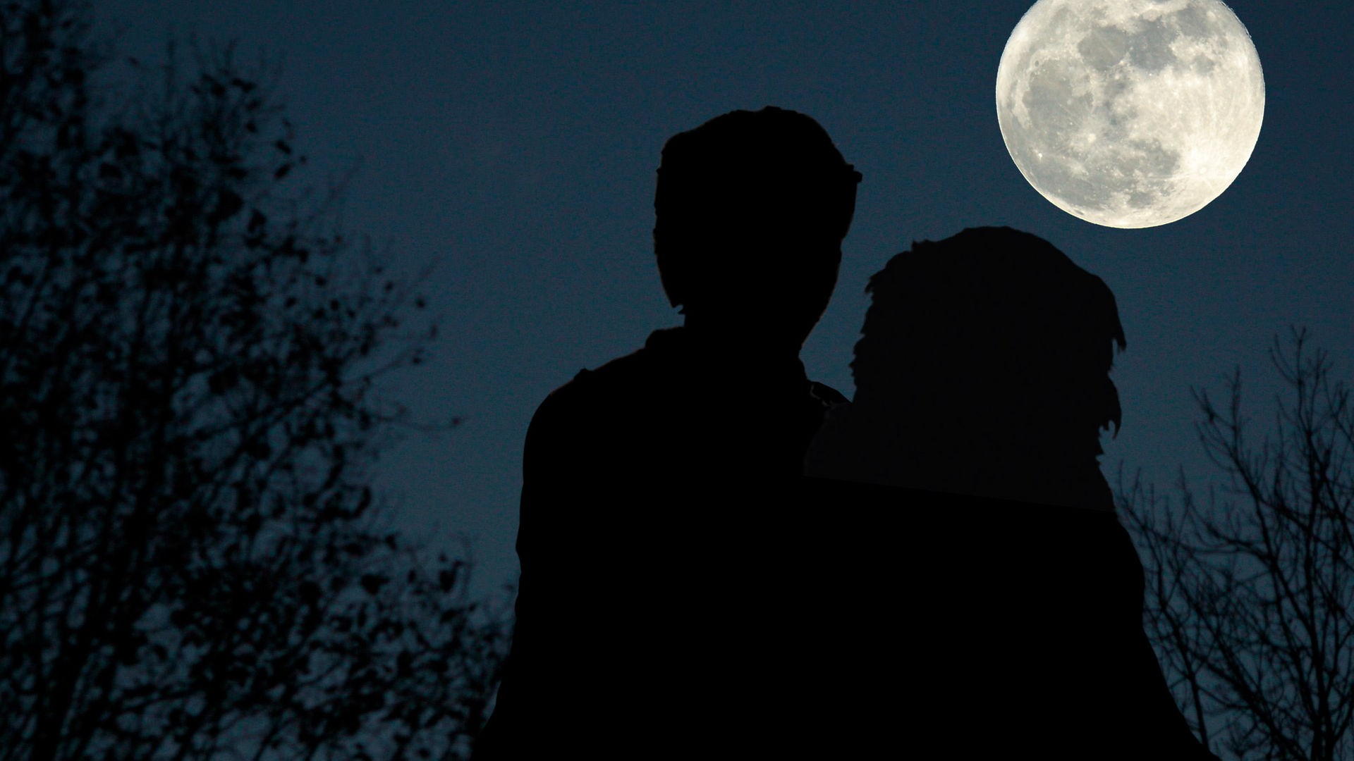 Fritz und Keks im Mondschein