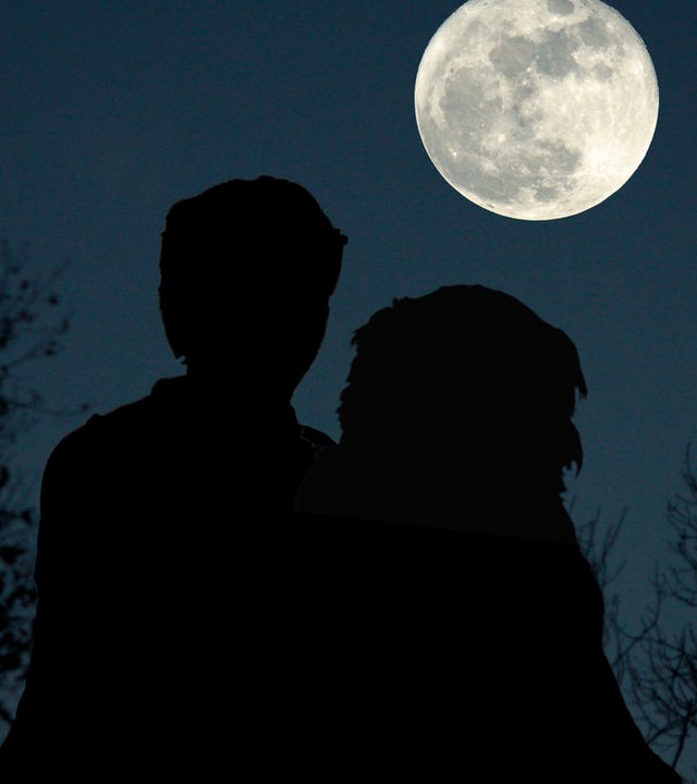 Fritz und Keks im Mondschein