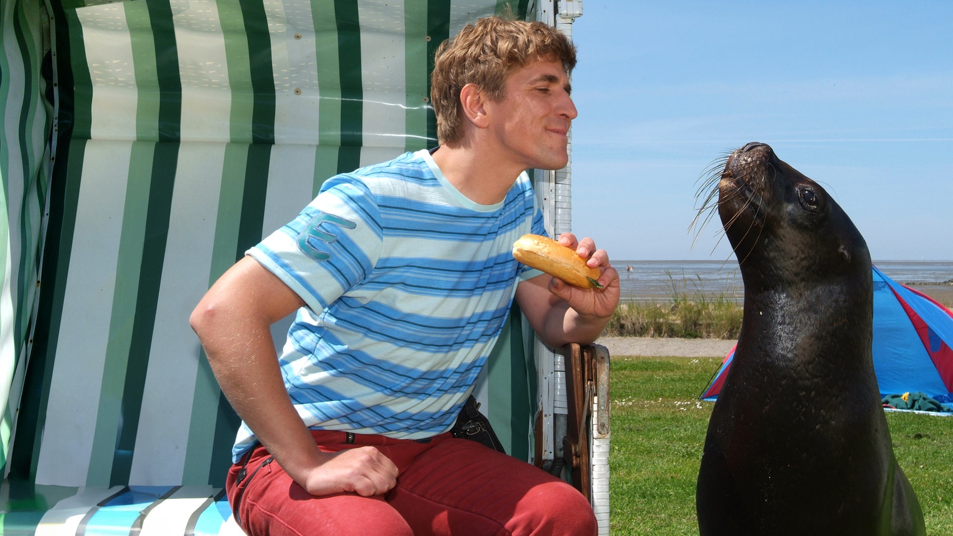 Fritz sitzt in einem Strandkorb und hat ein Brötchen in der Hand. Neben ihm auf dem Boden sitzt eine Robbe.