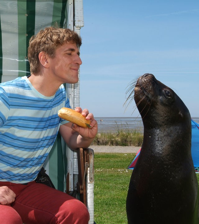 Fritz sitzt in einem Strandkorb und hat ein Brötchen in der Hand. Neben ihm auf dem Boden sitzt eine Robbe.