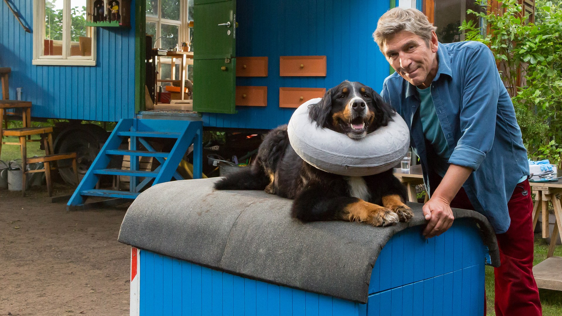 Fritz steht neben Keks, der mit einer Halskrause an auf seiner Hundehütte liegt