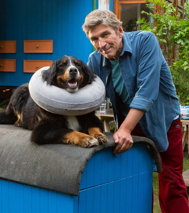 Fritz steht neben Keks, der mit einer Halskrause an auf seiner Hundehütte liegt