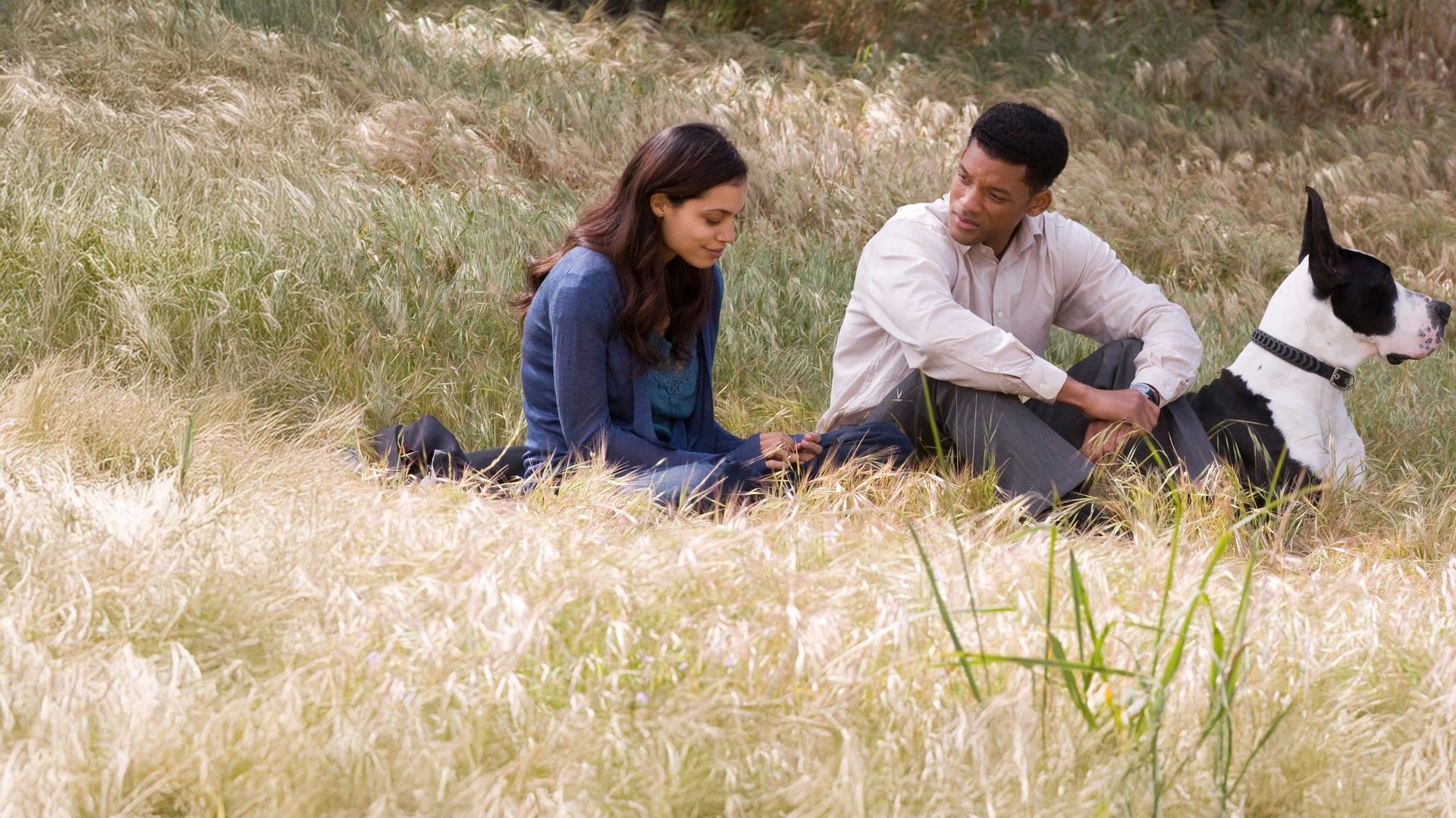 "Sieben Leben": Ben (Will Smith), Emily (Rosario Dawson) und ein schwarz-weißer Hund sitzen im hohen Gras. Während Emily nach unten blickt, wendet Ben sich ihr zu. Der Hund schaut aufmerksam in eine andere Richtung.