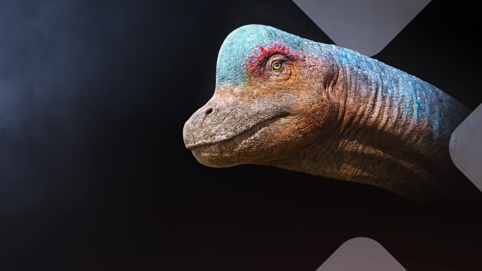 Bild für Die Insel der Giganten