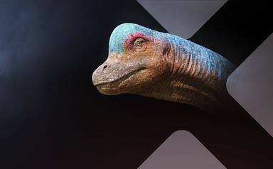 Die Insel der Giganten