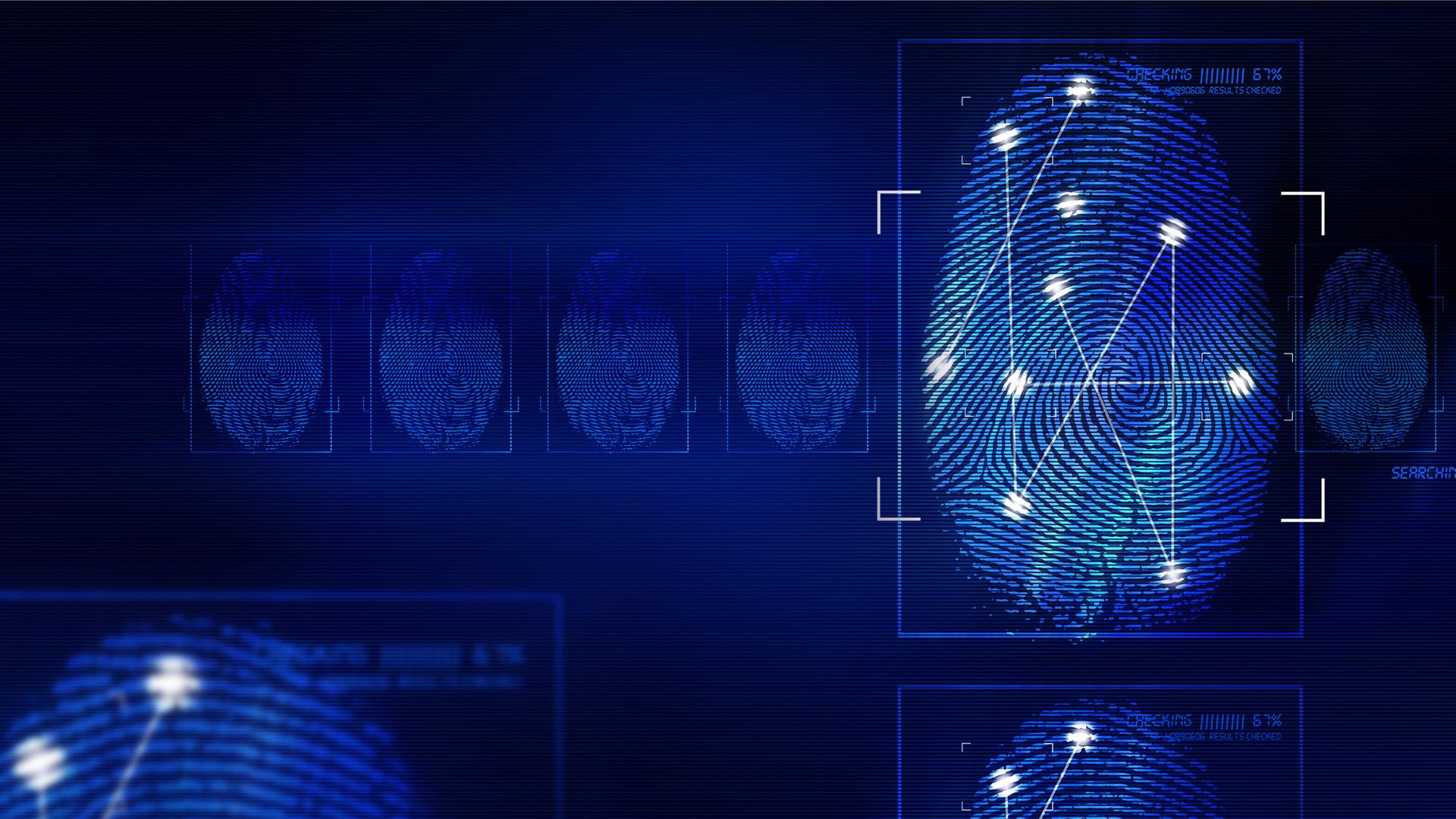 Wahre Verbrechen – Suche nach Gerechtigkeit