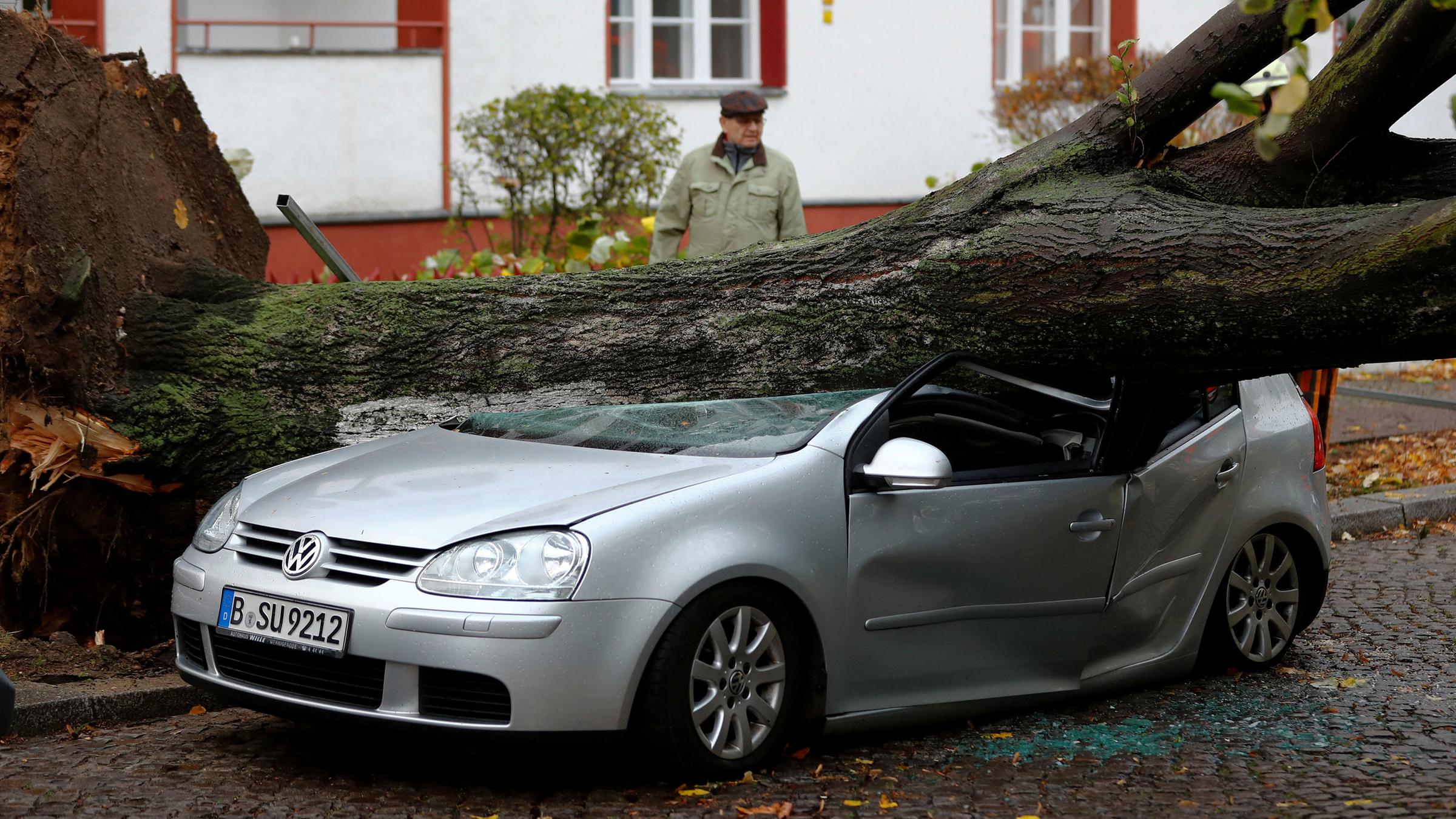 Umgestürzter Baum liegt auf einem Auto in Berlin.