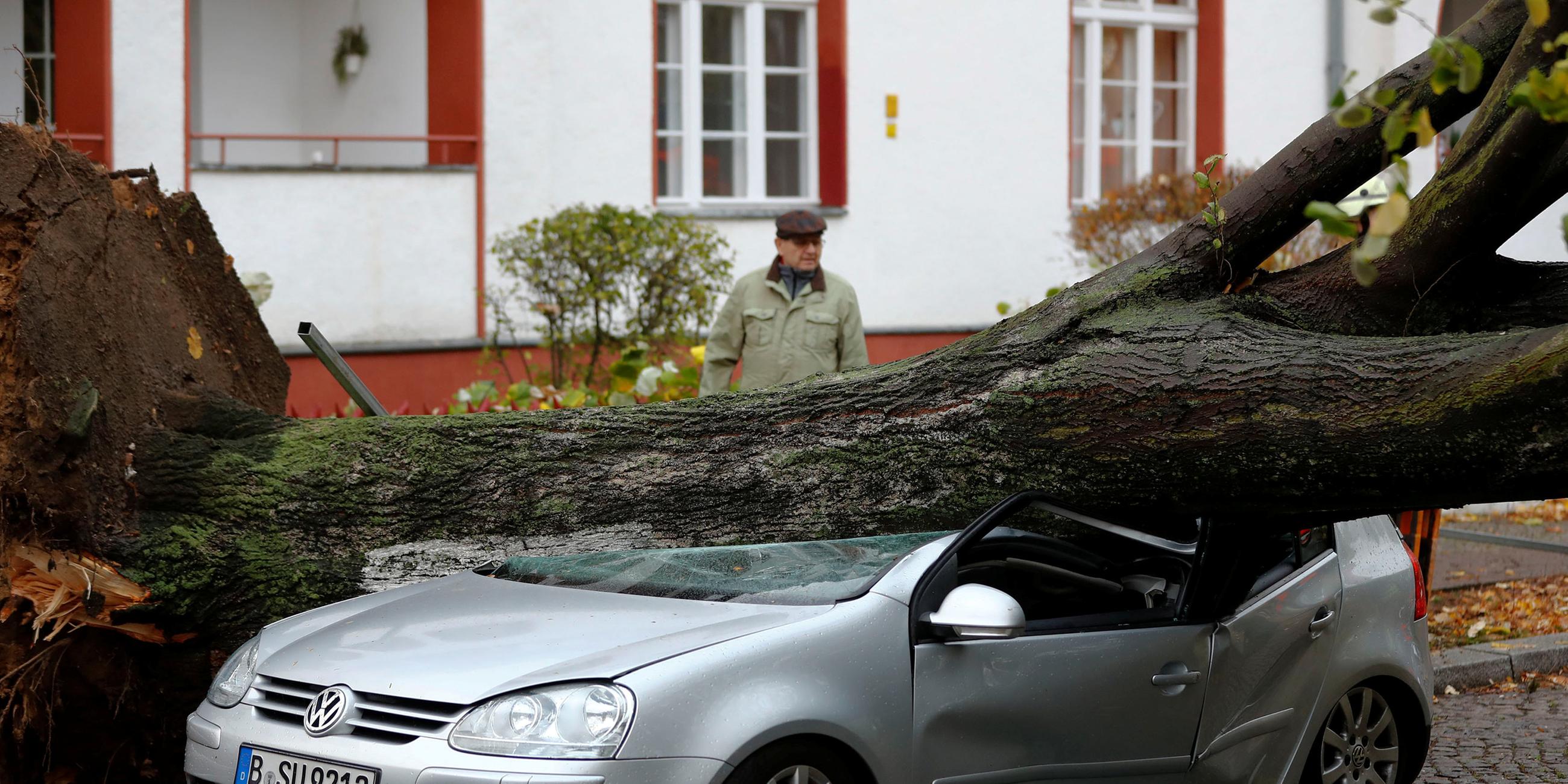 Umgestürzter Baum liegt auf einem Auto in Berlin.