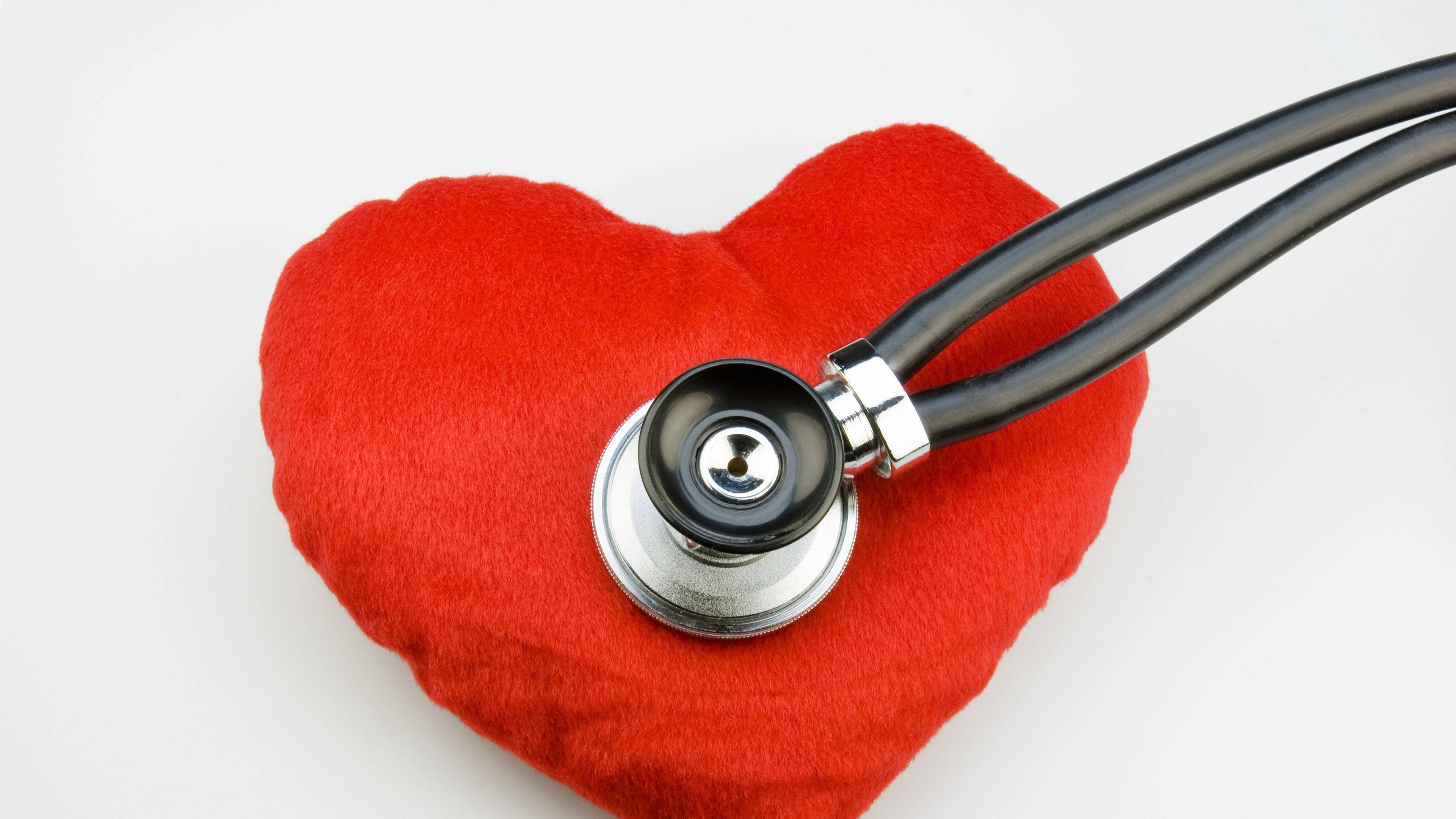 Das Schwache Herz Zdfmediathek