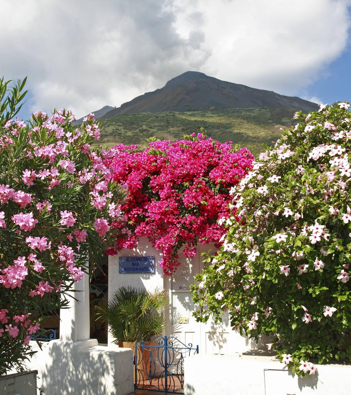 Mediterrandes Haus mit prachtvoller Blumenkulisse bestehend aus Hibiskus und Oleander