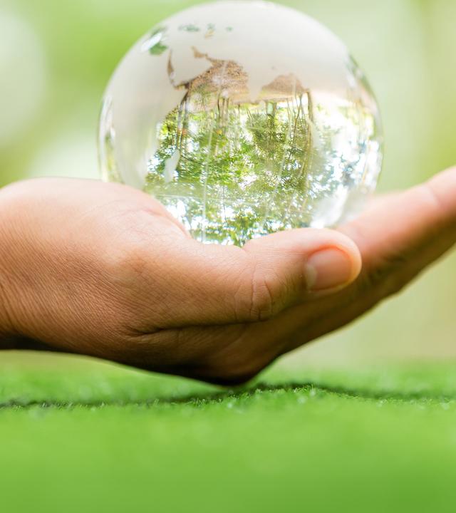 Glaskugel mit grüner Landschaft