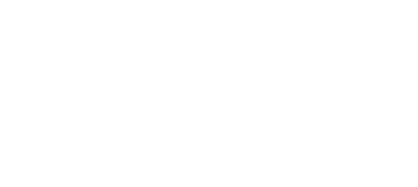 Hidden Champions