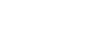 Hidden Champions