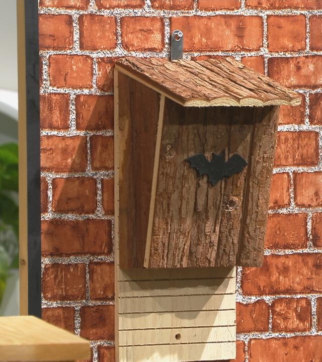Selbstgebautes Haus für Fledermäuse
