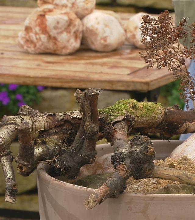 Hilfe für Wildbienen im eigenen Garten