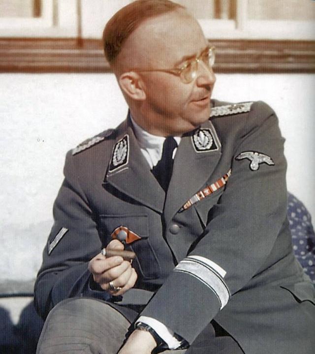 Eine Nahaufnahme von Heinrich Himmler in Uniform.
