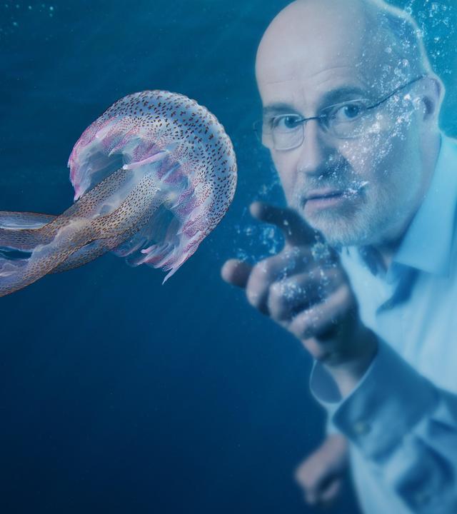 Grafik: Harald Lesch unter Wasser hinter Qualle