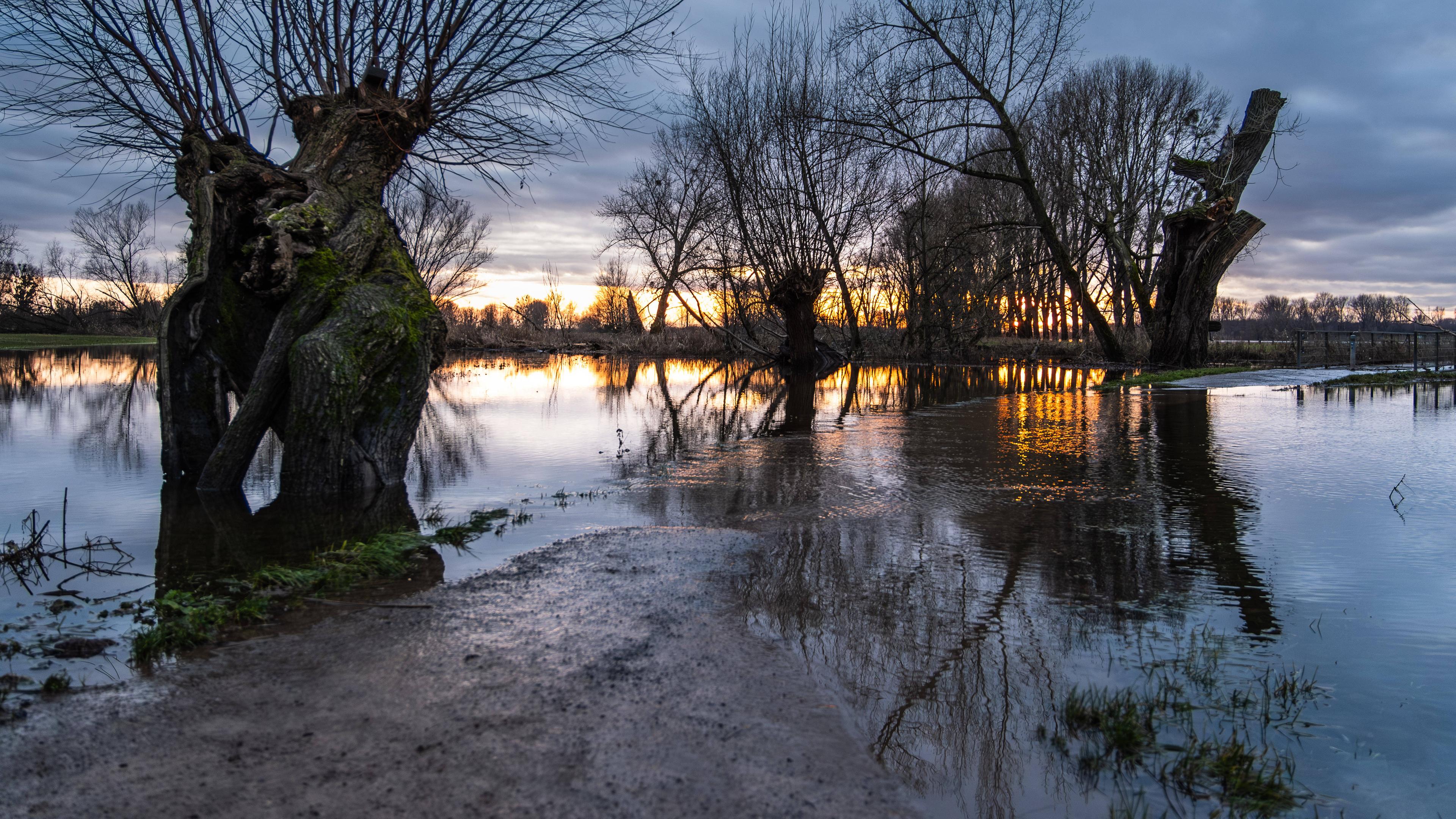 Hochwasser am Rhein bei Düsseldorf