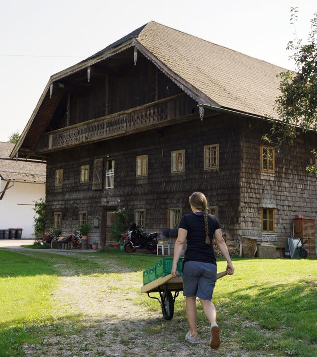 Das Bild zeigt einen traditionellen Bauernhof in Lengau, Innviertel, Österreich. Im Vordergrund ist eine Person zu sehen, die einen Wagen mit einer Holzplatte und grünen Kisten schiebt. Die Person trägt ein schwarzes T-Shirt und kurze Hosen, hat lange, geflochtene Haare und läuft auf einem gepflasterten Weg, der durch eine grüne Wiese führt.  Im Hintergrund sind zwei Gebäude sichtbar: das größere, ältere Haus ist mit dunklen Holzschindeln verkleidet und hat eine große Dachüberstände, während das kleinere, hellere Gebäude rechteckig ist und mit weißen Wänden gestaltet ist. Zwischen den Gebäuden gibt es Grünflächen und einige Pflanzen sowie Geräte, die zur Landwirtschaft genutzt werden. Die gesamte Szenerie vermittelt eine ruhige, ländliche Atmosphäre an einem sonnigen Tag.