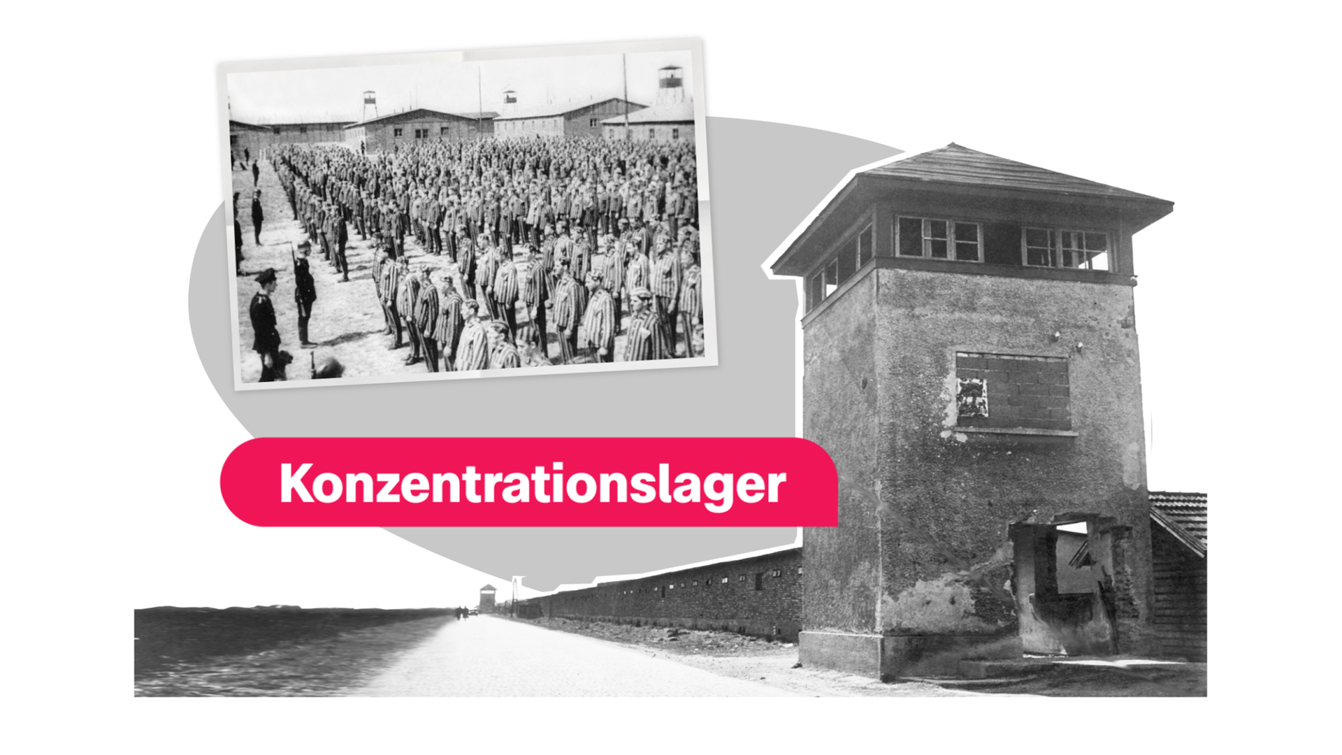 Bild für Das war der Holocaust