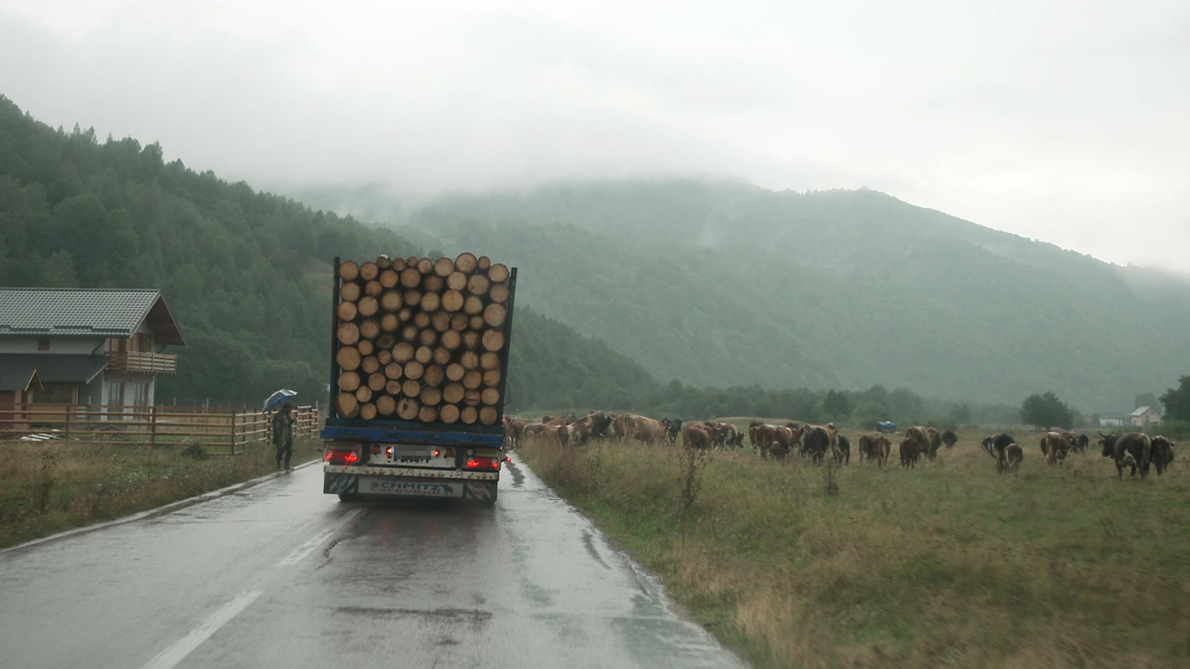 Ein LKW beladen mit Holz in Rumänien.