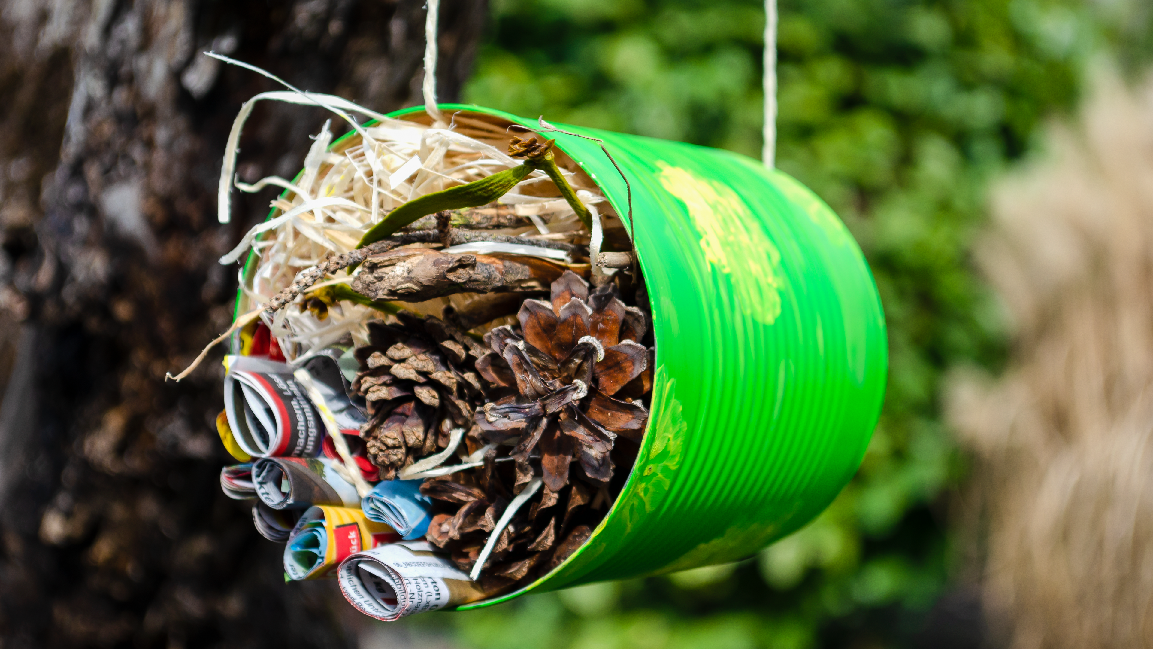 Papierröhren, Holzwolle, Zapfen und Zweige in deine Konservendose füllen udn Dose aufhängen: Fertig!