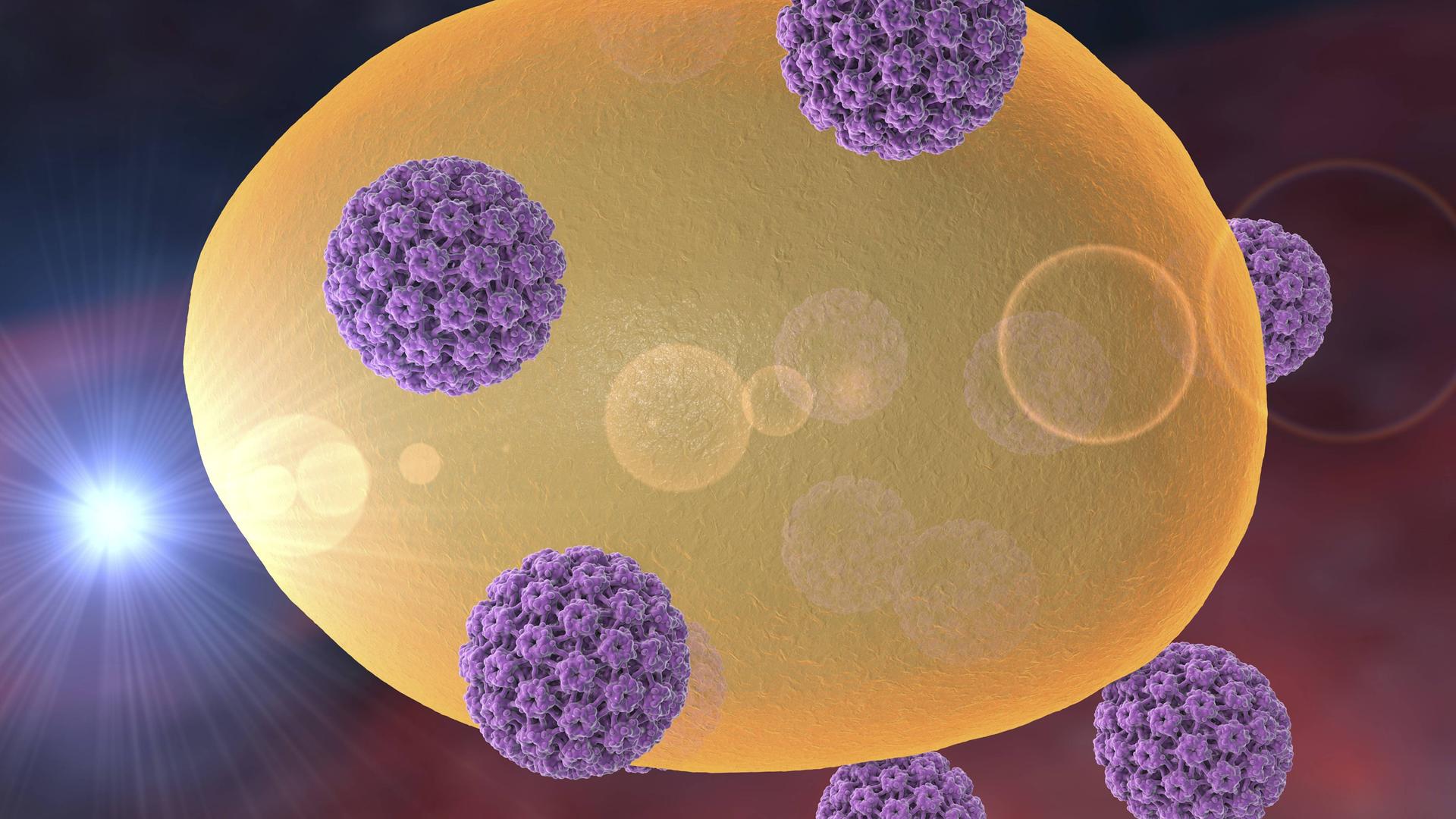 Bild für Gebärmutterhalskrebs verhindern