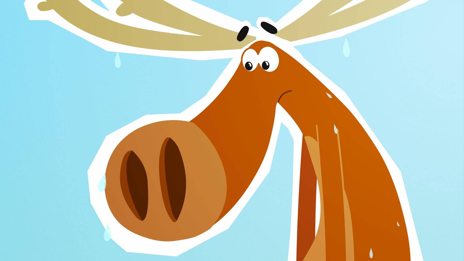 Hubert schwitzt im Sommer am Nordpol