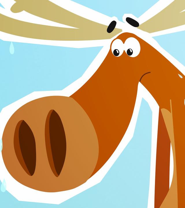 Hubert schwitzt im Sommer am Nordpol