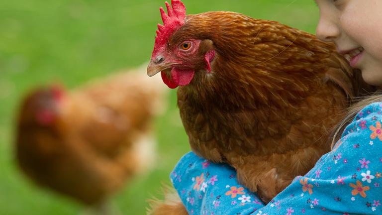 Kind mit Huhn im Arm