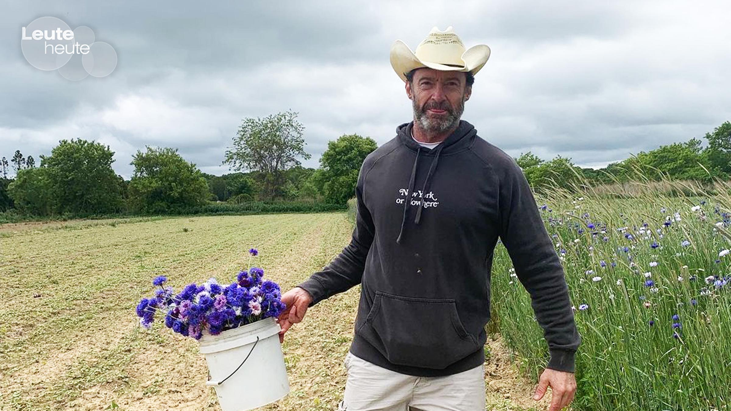 Schauspieler Hugh Jackman auf einem Feld mit einem Eimer Kornblumen in der Hand.