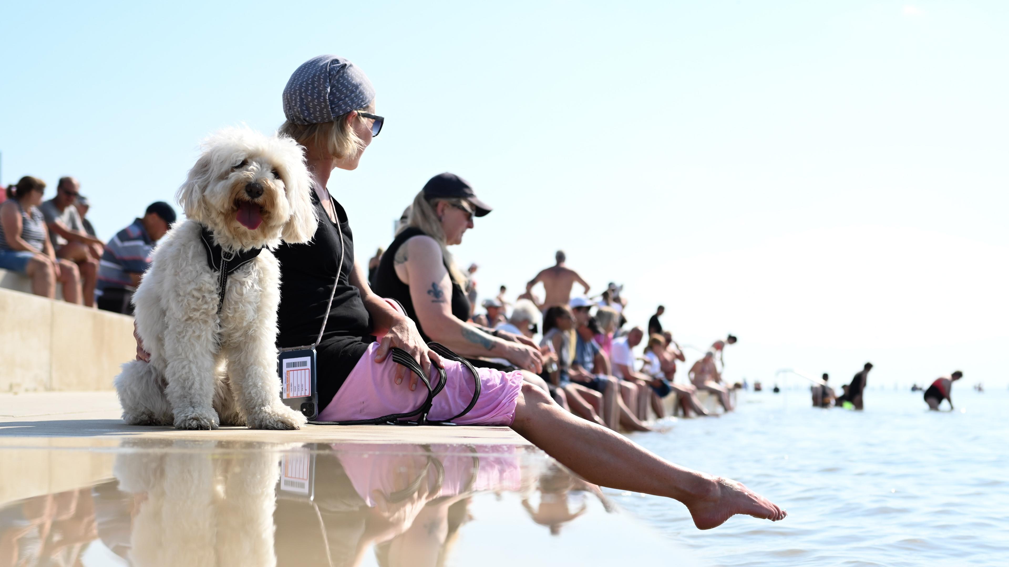 Eine Frau nimmt bei sommerlichem Wetter neben ihrem Hund ein erfrischendes Fußbad in der Nordsee. 