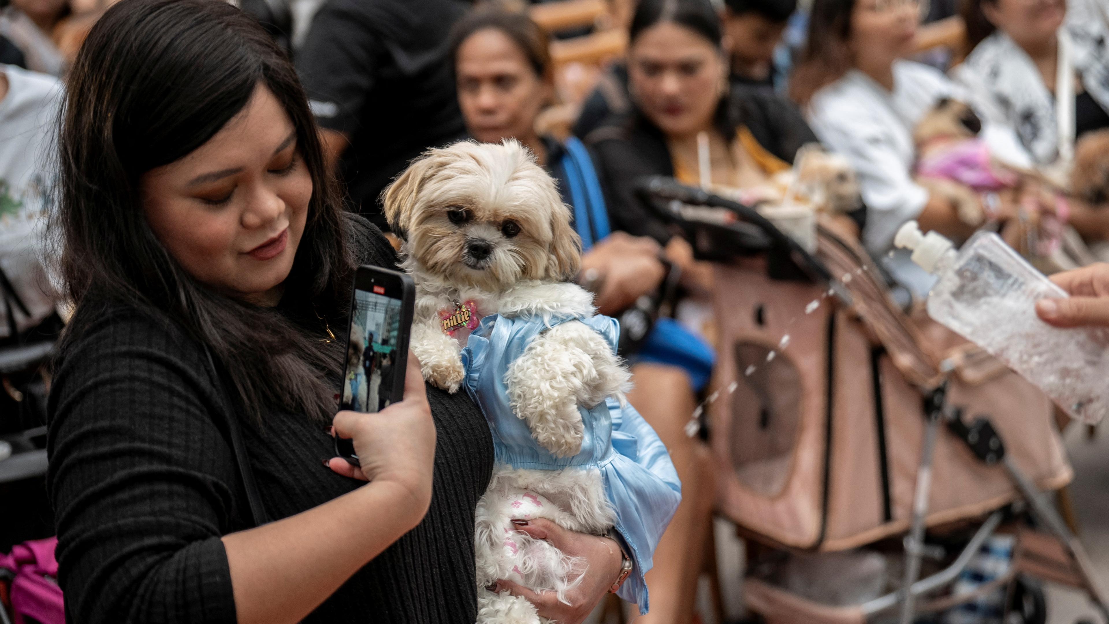 Ein katholischer Priester spritzt Weihwasser auf einen Hund.