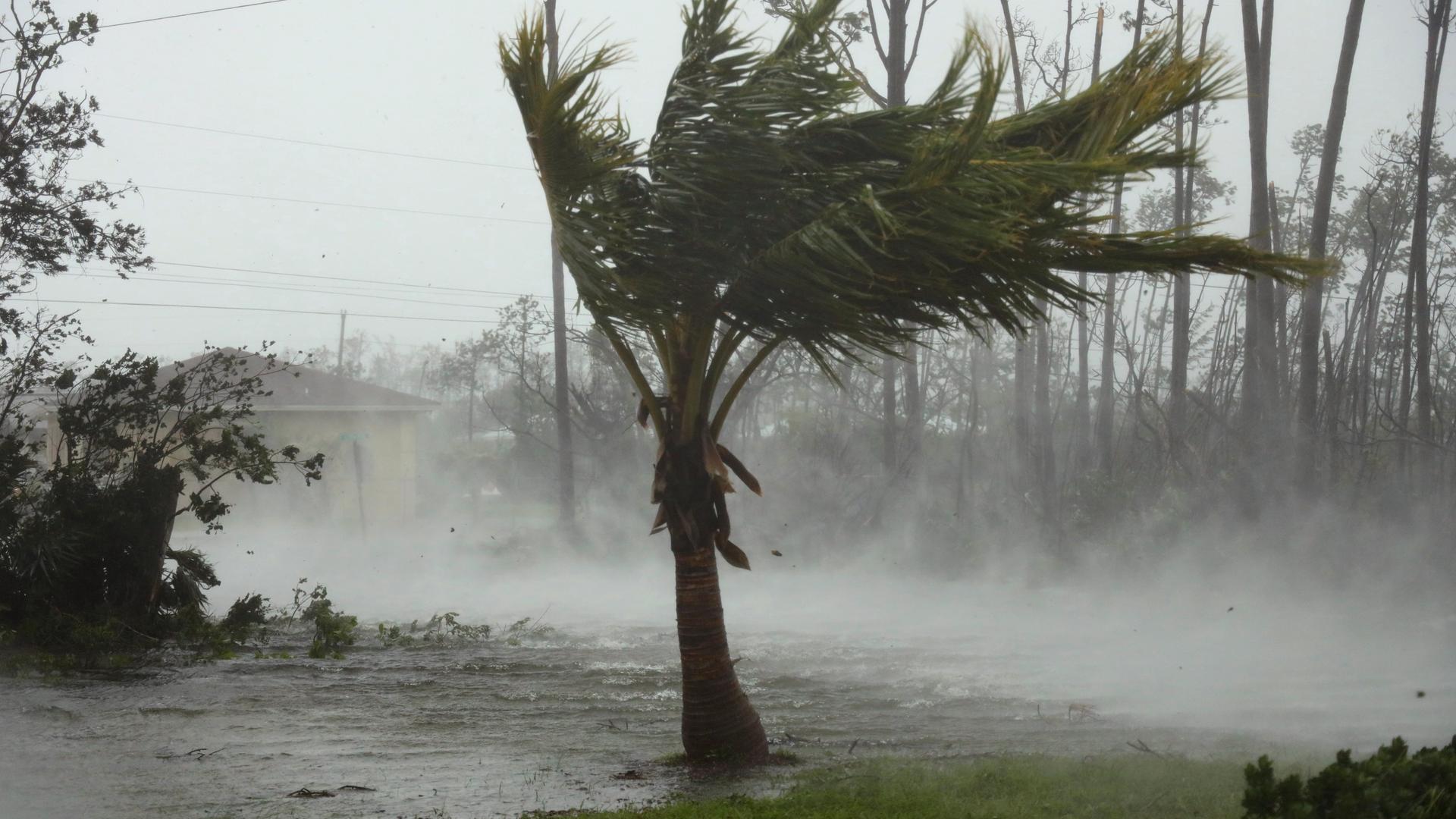 hurrikan trifft auf die bahamas