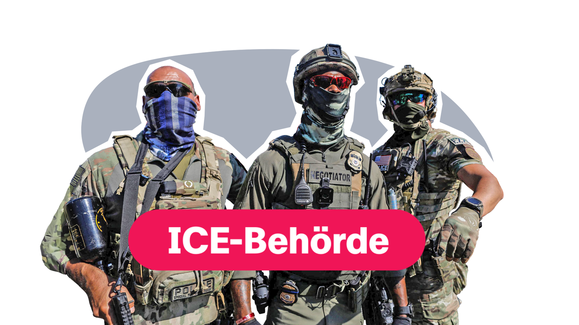 Bild für Was machen die ICE-Agenten?