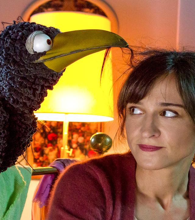 Rabe Rudi fummelt mit dem Schnabel in den Haaren von Siebenstein.