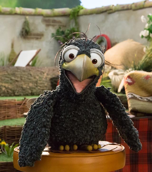 Rudi sitzt auf einem Hocker
