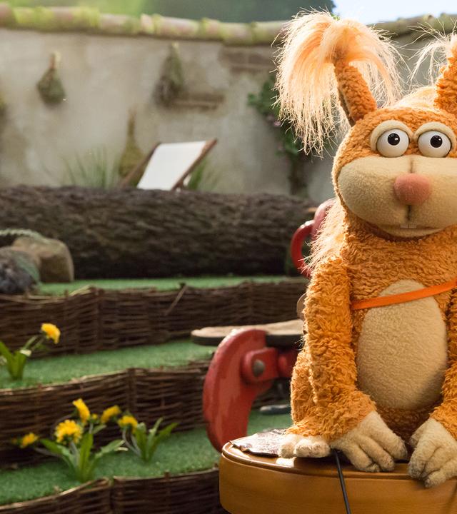 Hase Otto, Eichhörnchen Ella und Rabe Rudi sind am Möhrenbeet. 