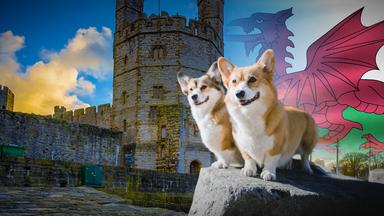 Zdfinfo - Im Dienst Der Queen: Wales Und Burg Caernarfon