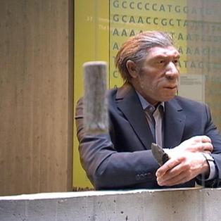 https://www.zdf.de/assets/im-neanderthal-museum-100~314x314?cb=1461993253902