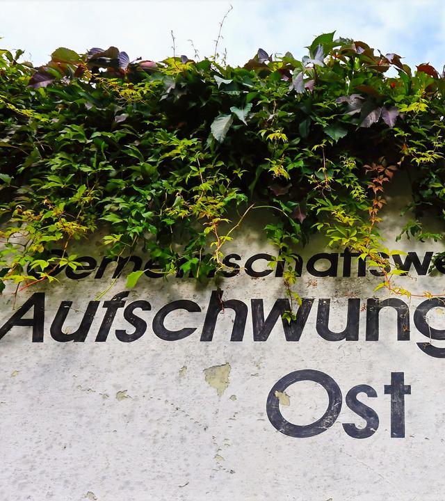 Kerstin Flade-Drechsel im Vordergrund hält einen Karton in der Hand, im Hintergrund sind verschiedene Gegenstände in einer Glasvitrine zu sehen.