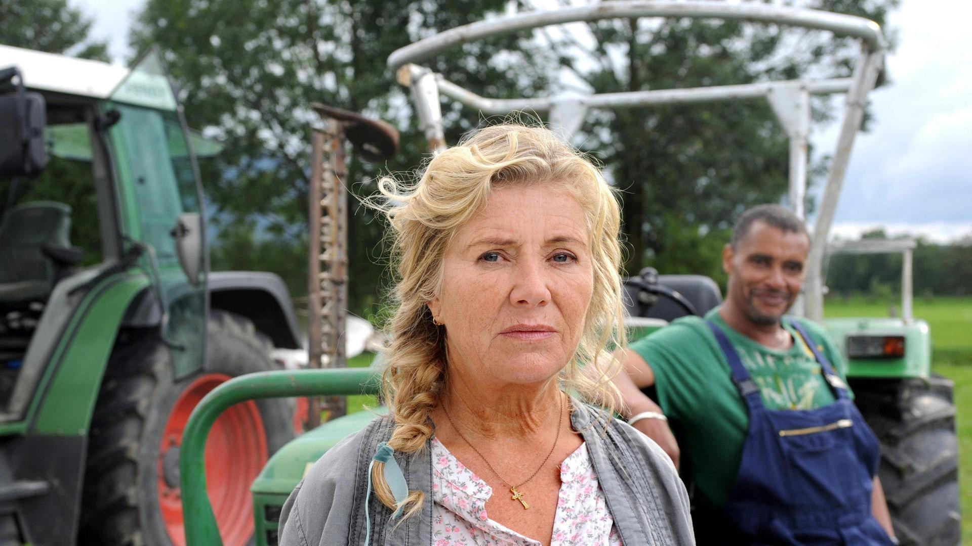 24 Milchkühe und kein Mann