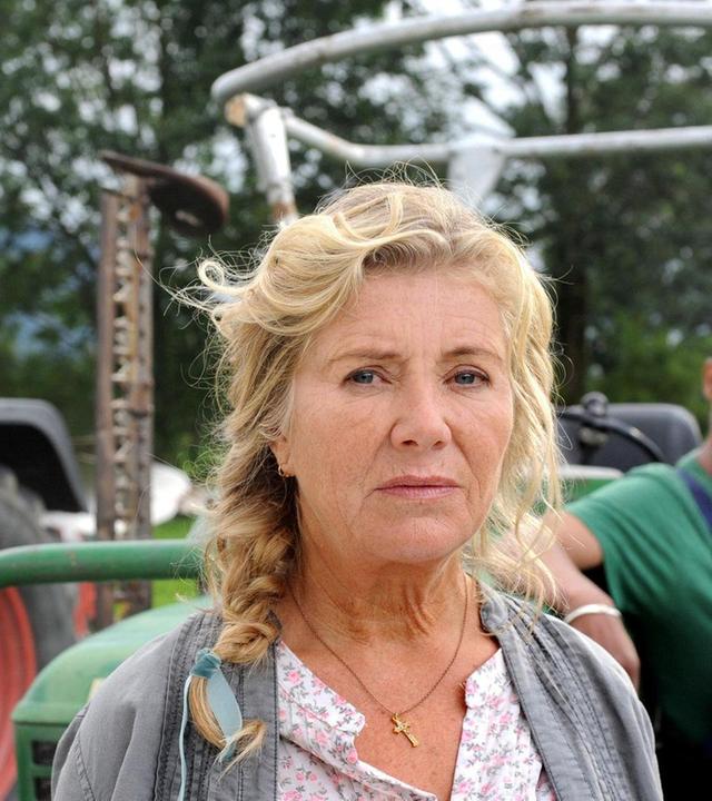 24 Milchkühe und kein Mann