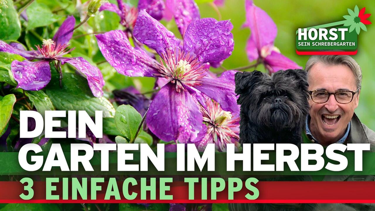 3 einfache Tipps für den Garten im Herbst